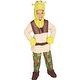 Shrek Childs Deluxe Costume, Shrek Costume Shrek Childs Deluxe Costume, Shrek Costume