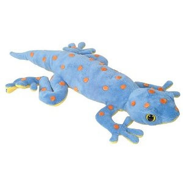 Gecko Toys 17